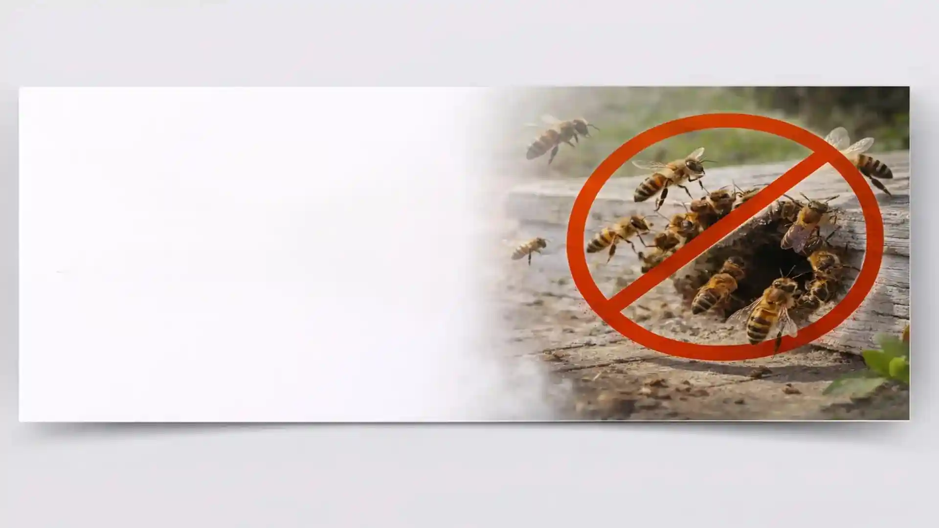 Honey bees swarming a hive entrance with no-entry warning sign for professional bee control services in London and Essex