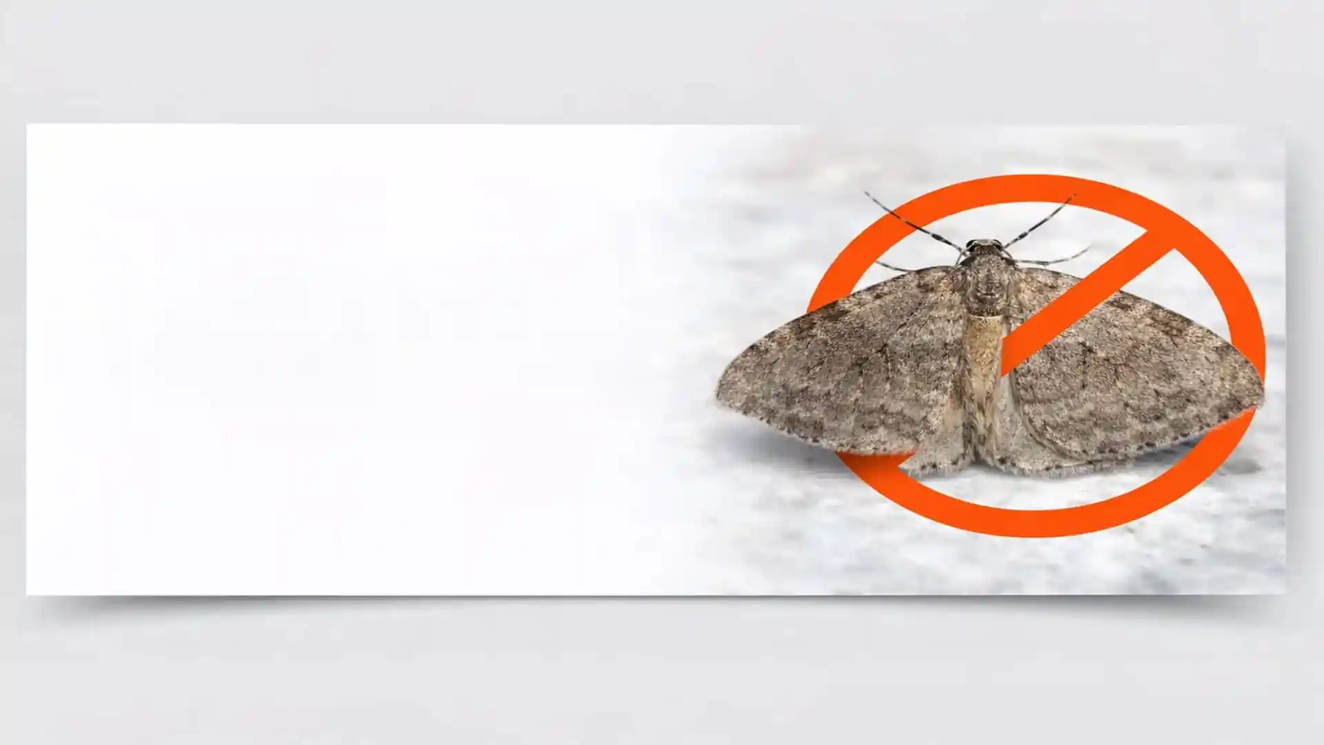Clothes moth with spread wings and no-entry warning sign for professional moth control services in London and Essex