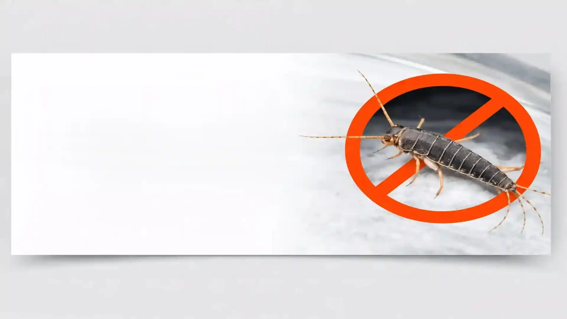 Silverfish insect with no-entry warning sign for professional silverfish control services in London and Essex