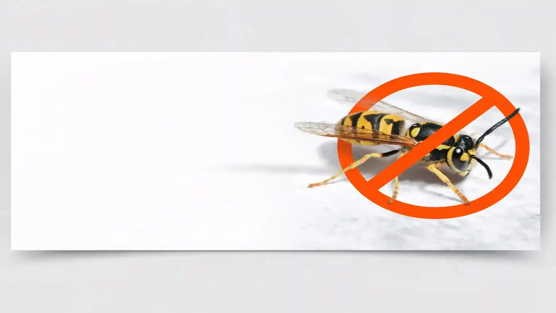 Yellow jacket wasp close-up with no-entry warning sign for professional wasp nest removal services in London and Essex