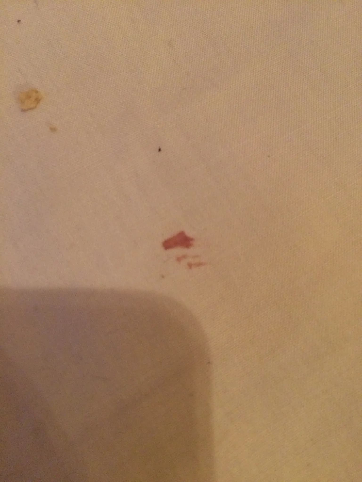 Blood spots on white bed sheets caused by bed bug feeding