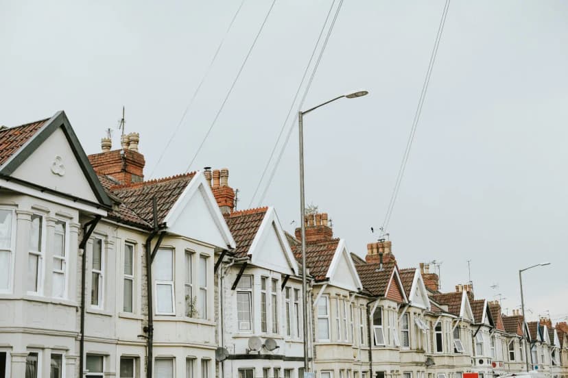 Pest Control for Landlords - BuzzKill Pest Control