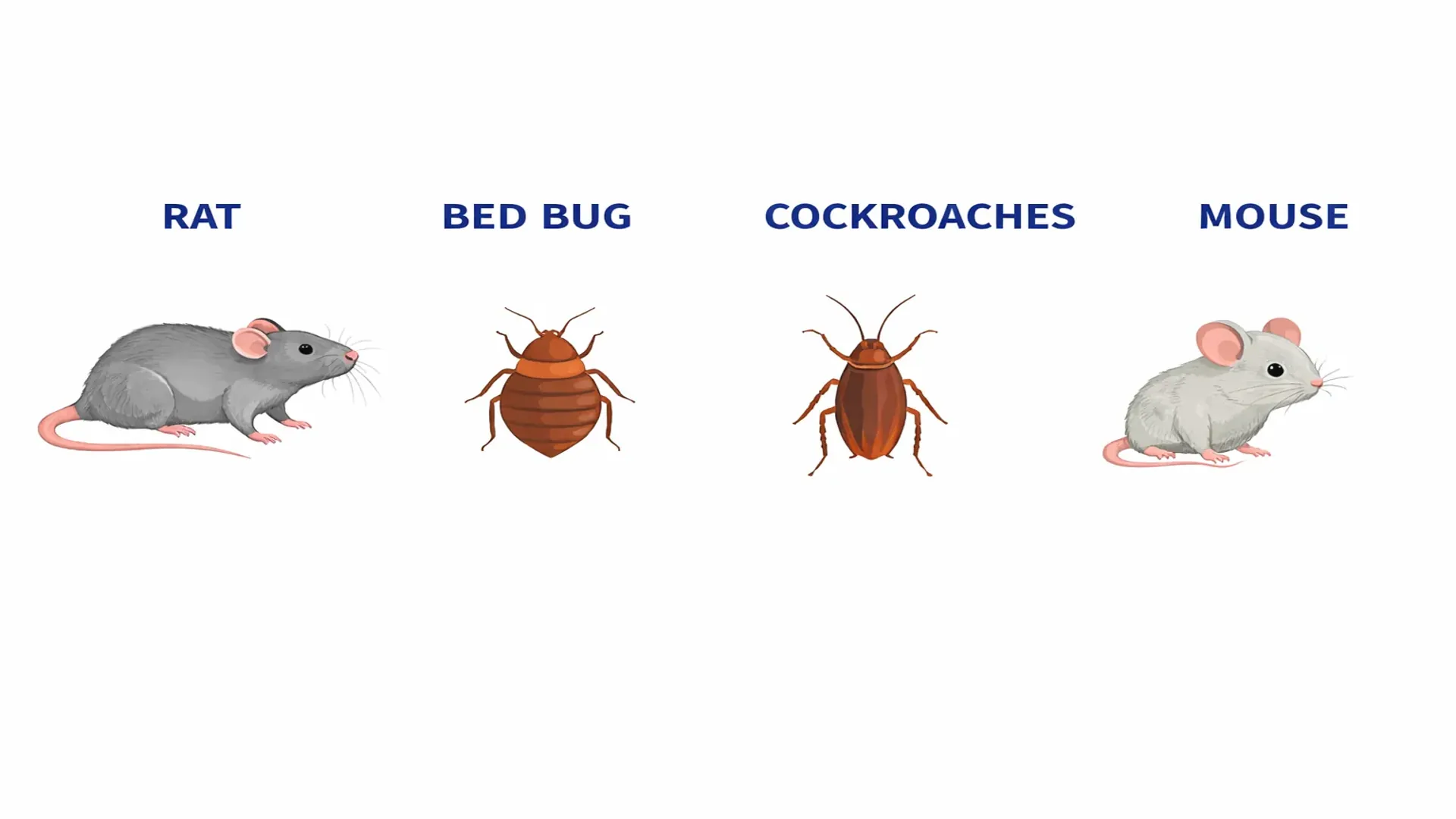 Illustrations of common London pests including a rat, bed bug, cockroach, and mouse for BuzzKill Pest Control services
