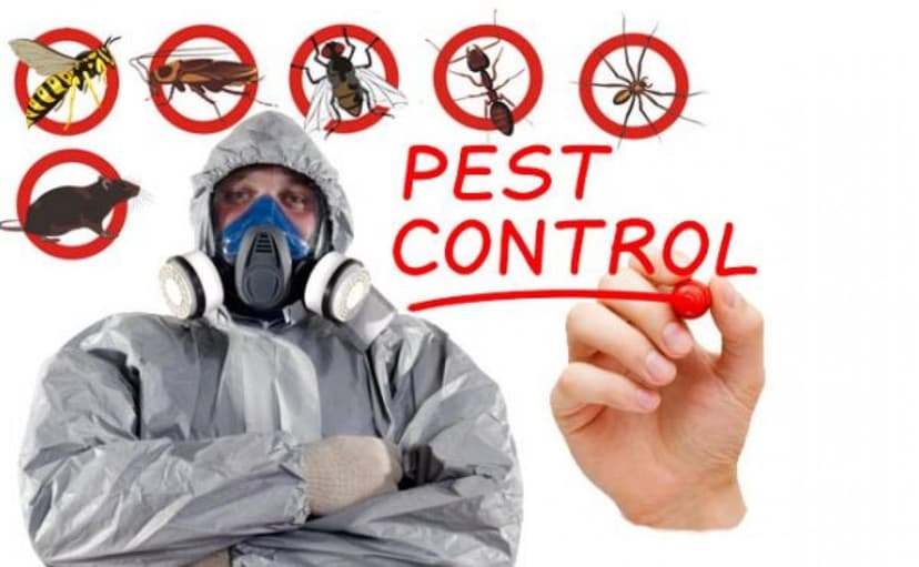 Emergency Pest Control
