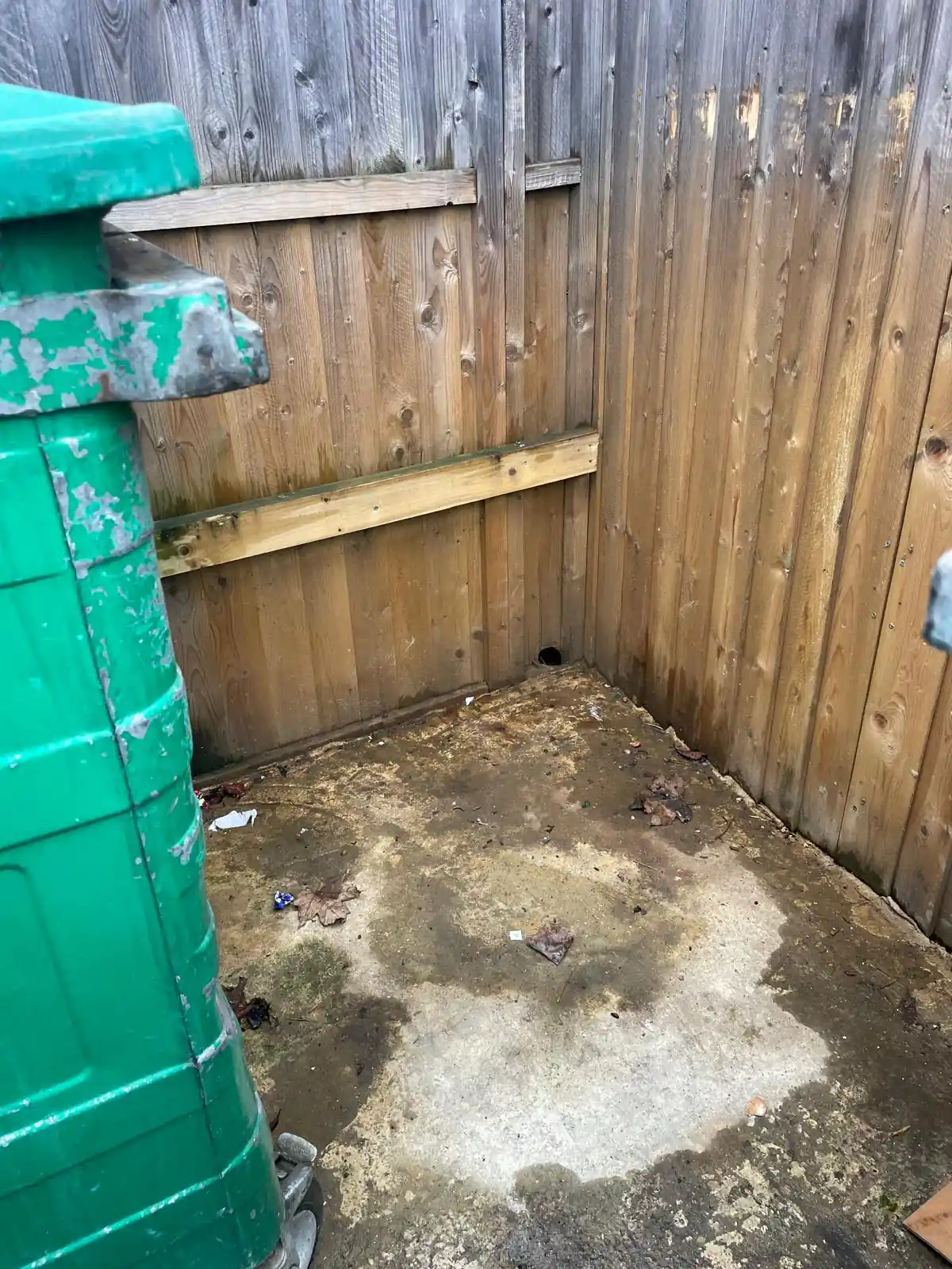 Outdoor bin area near a fence with a rat entry hole showing poor exterior maintenance
