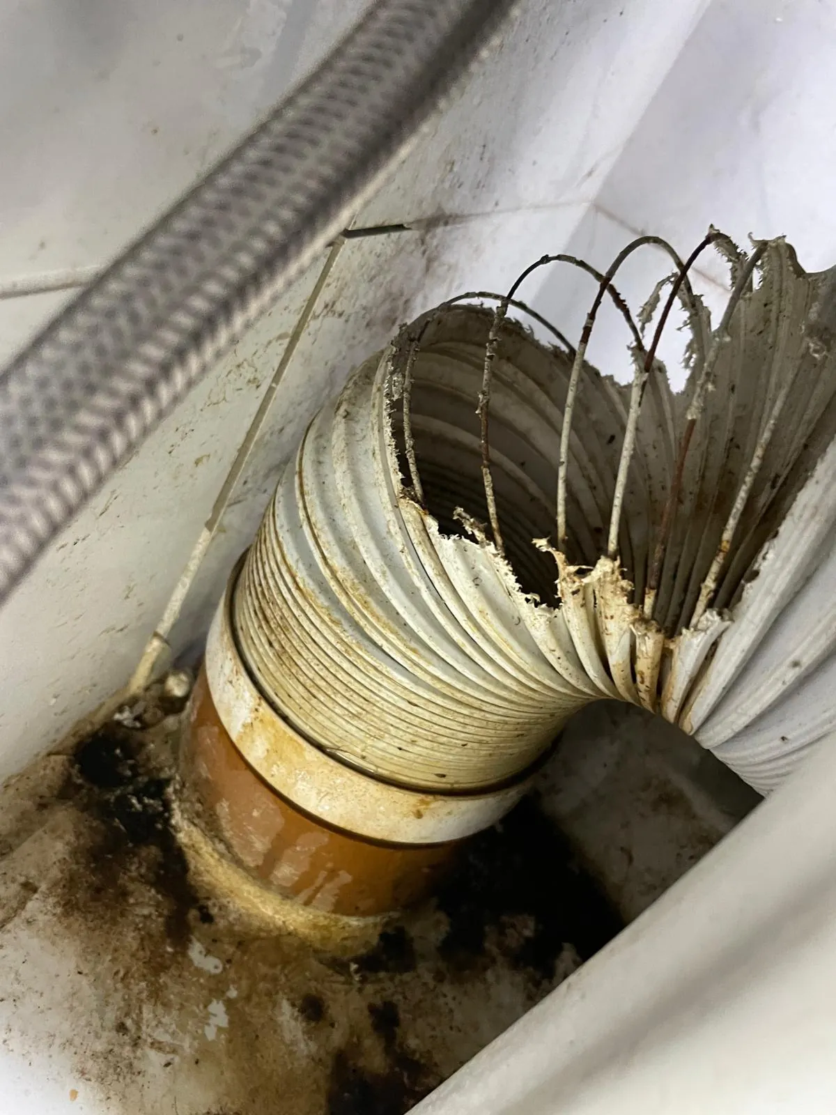 Waste pipe damaged and chewed through by rats requiring drainage repair