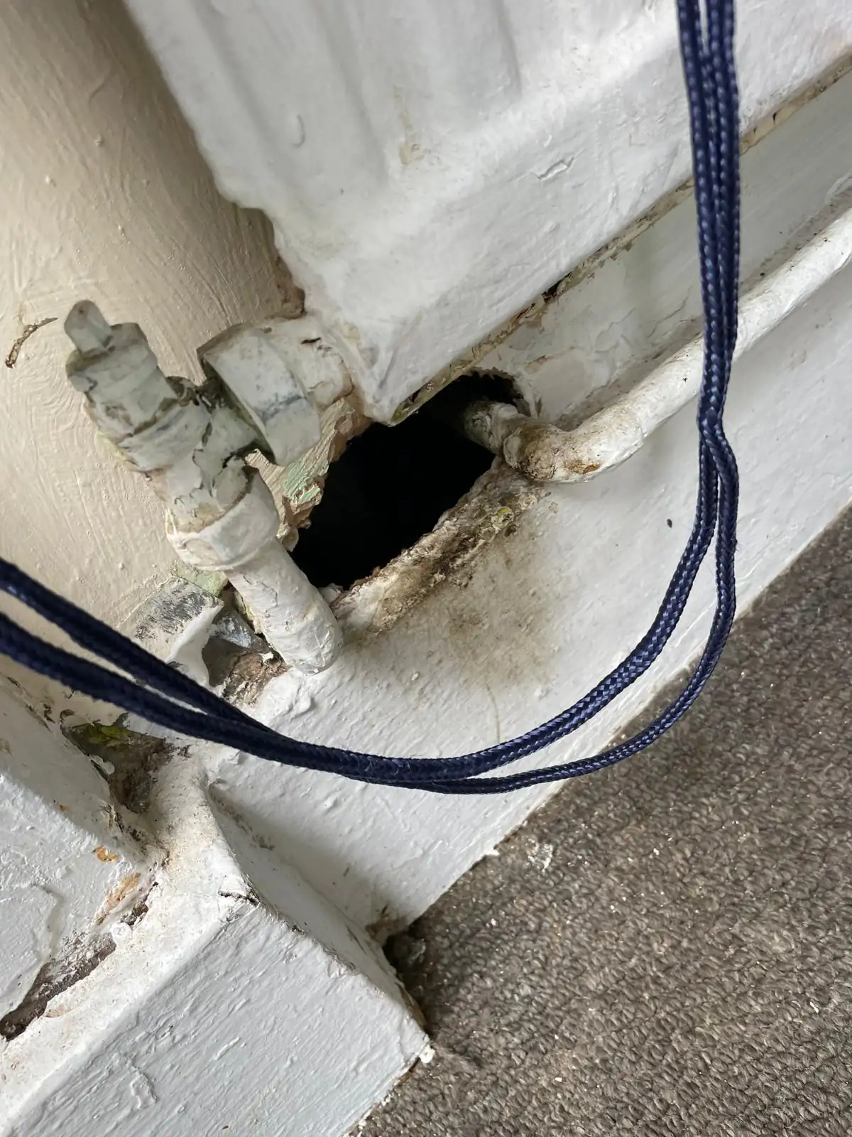 Dark grease smear marks left by rats along a board surface