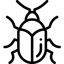 Carpet Beetle Pest Control