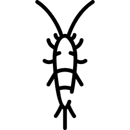 Silverfish Pest Control