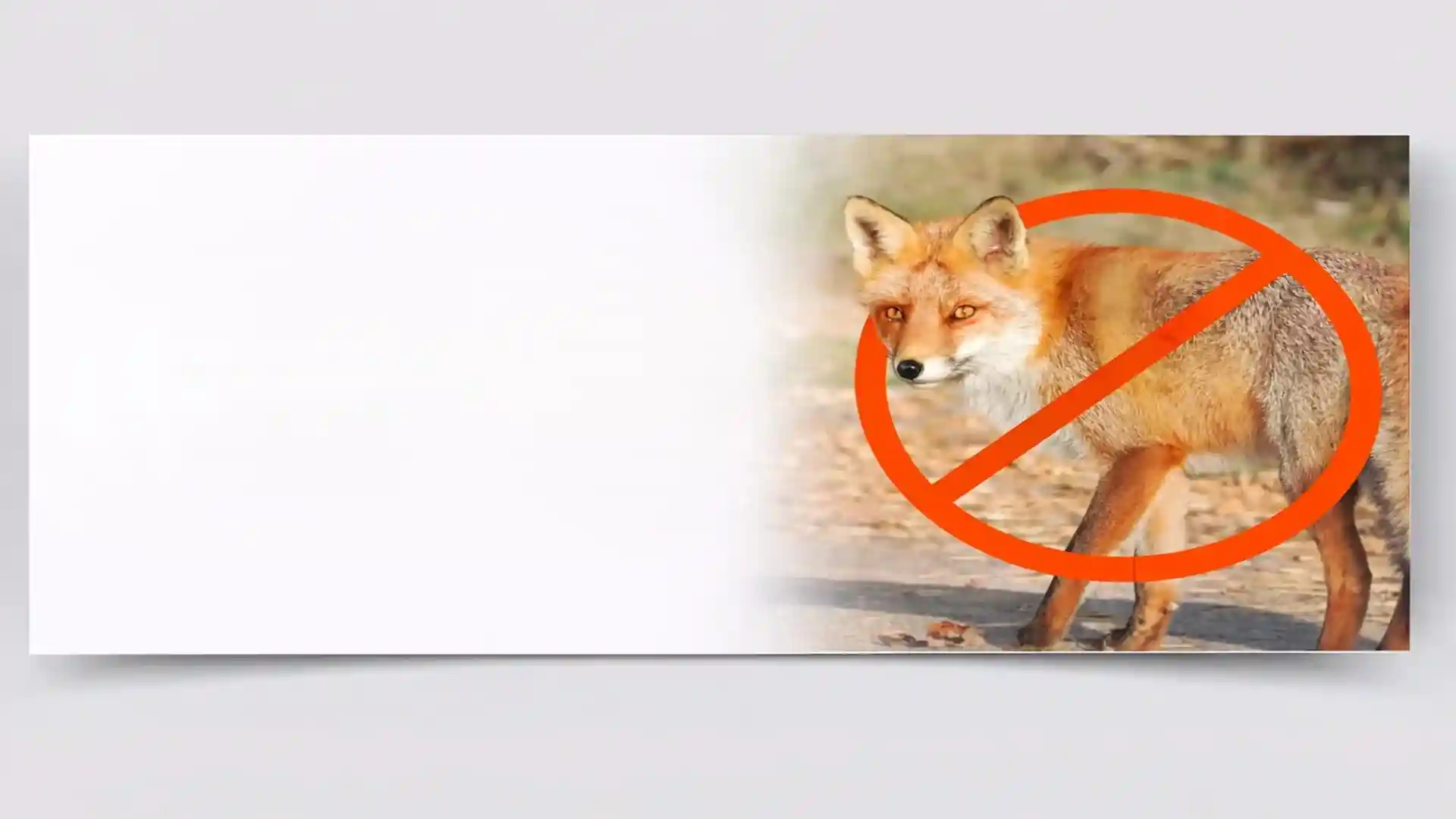 Urban fox with no-entry warning sign for professional fox deterrent and control services in London and Essex