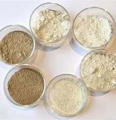 Diatomaceous earth — a natural desiccant sometimes used against bed bugs. Bowls of diatomaceous earth powder used as a natural bed bug remedy