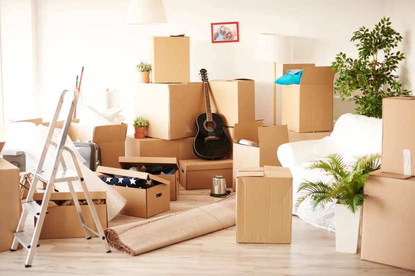 End of Tenancy Pest Control - BuzzKill Pest Control
