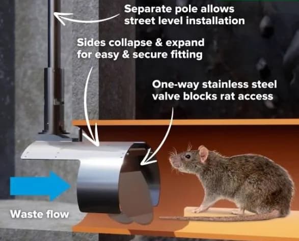 Rat blocker non-return valve installed inside a drain to prevent rats entering from sewers Rat blocker non-return valve installed inside a drain to prevent rats entering from sewers